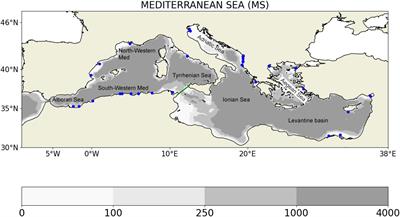 Modeling Carbon Budgets and Acidification in the Mediterranean Sea Ecosystem Under Contemporary and Future Climate